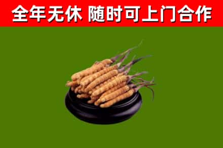 得荣烟酒回收冬虫夏草.jpg